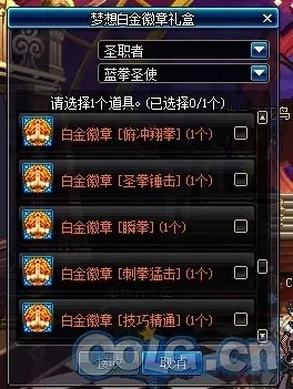 DNF梦想白金徽章礼盒全职业技能解析及获取方式