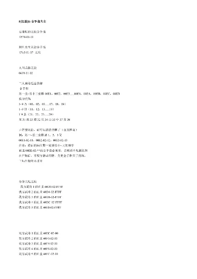 FC霸王的大陆金手指及作弊码解析