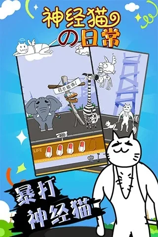 2025年神经猫和飞天刀　神经猫与飞天刀