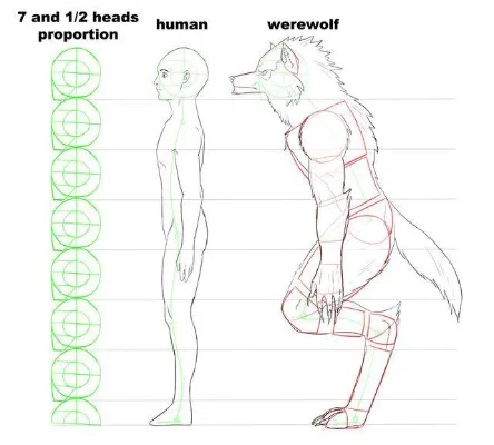 狼美人画法步骤：头部、身体、下肢绘制详解